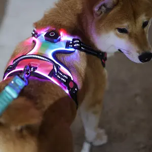 Custom Oxford Outdoors Night Walking Large Dog Vest Reflective RGB Rechargeable LED Light Pet Dog Harness