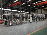 Équipement de brasserie artisanale de bière 500L 5BBL, équipement de brassage de bière nano, machine de brassage à vendre