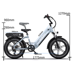 Vélo électrique ONESPORT OT08 avec écran LCD, fourche à suspension pneumatique de 20 pouces, 80 km d'autonomie, 250 W - Product Image 4