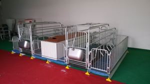 Veeteelt Apparatuur, Kraamhok Voor Varkens - Product Image 3