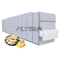 Geëxporteerde Amerikaanse automatische roestvrijstalen Ti-mesh banddroger pomp tandwielmotor hoge efficiëntie multifunctionele fruit citrus appel