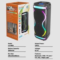 Enceinte portable d'extérieur double 8 pouces haute puissance sans fil 5.2 avec LED RGB, appairage TWS et batterie grande capacité