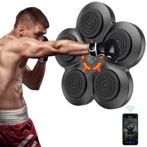 DECELEVEN Home Wall Mount Electronic Smart Agility Training Boxeo Wall Target Punching Pads Music Boxing Machine