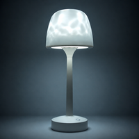 Lampe de table moderne et simple en forme de champignon, à piles, LED, avec interrupteur, intensité réglable, 2700K, projection d'ambiance, en plastique, portable