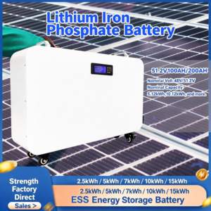 Batería LiFePO4 de 51.2V 100AH 200AH, Nueva, Personalizada, para Suministro de Energía de Emergencia Solar Fotovoltaica Móvil, Almacenamiento de Energía Residencial 6000 - Product Image 2