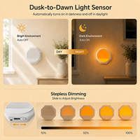 Veilleuse murale à capteur crépusculaire 1600K lumière ambre à branchement direct avec luminosité réglable
