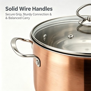 Premium Eco-Friendly Heavy Duty Large Capacity <strong>Copper</strong> Coated Stainless Steel <strong>Cookware</strong> Set Stock Pot Casserole Stew Induction Gas - Product Image 3