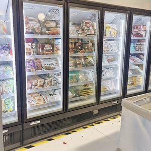 Congélateur vertical pour le marché brésilien, présentoir pour bols d'açaï, fruits tropicaux, plateaux de fromages, pizzas surgelées |   Verre nano antibactérien -25C - Product Image 3