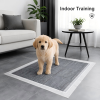 Protège-tapis d'apprentissage jetables en charbon de bambou et PE pour animaux de compagnie, avec noyau ultra-absorbant, contrôle des odeurs, écologiques et anti-fuites