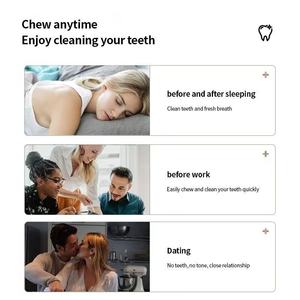 Thương hiệu tư nhân tốt nhất bán zero-chất thải thân thiện với môi màu Corrector Nước súc miệng rắn kem đánh răng máy tính bảng cho du lịch - Product Image 6