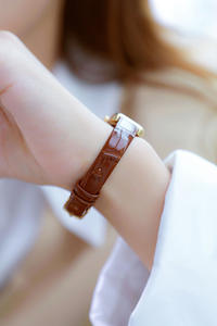 Nouvelle montre BS à succès, montre pour femme en <span class=keywords><strong>cuir</strong></span> marron, petite, de luxe, style niche - Product Image 4