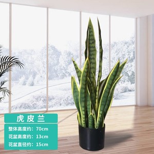 Plante artificielle Serpent d'Inde en pot 70cm à bords jaunes Décoration intérieure Salon Plante verte de bureau - Product Image 2