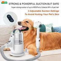 Tondeuse professionnelle silencieuse pour animaux de compagnie, kit de toilettage pour chiens et chats, brosse de beauté pour l'élimination des poils
