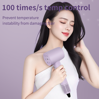 Sèche-cheveux Nano Ion à grande vitesse pour des résultats de salon personnalisés Sèche-cheveux OEM ODM SKD pour le séchage des cheveux des femmes