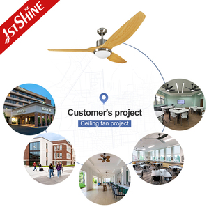 1stshine Ventilador de techo Venta caliente ABS Plastic Blade Energy Control remoto Regulable Ventilador de techo Luz - Product Image 5