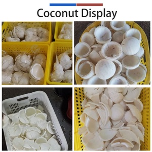 2000-300KG/H Industrial Customized Coconut Bubble Washing <b>Machine</b> Coconut Meat Washer <b>Machine</b> for Coconut <b>Process</b> - Product Image 3