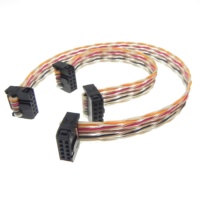 Maßgefertigter 2x5 10-Pin 2,54mm Rastermaß PVC-Verbinder für 1,27mm Rastermaß AWM 2651 Twisted-Pair Regenbogen-Flachkabel IDC Flachstromkabel