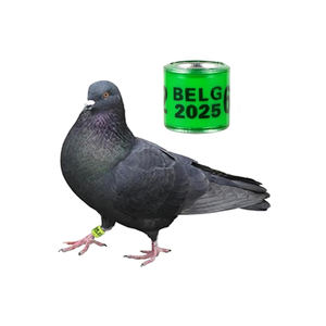 Duivenringen 2025 Aluminium-plastic Multicolor 8mm met letters, duivenpoot <span class=keywords><strong>ring</strong></span>, huisdier accessoires - Product Image 5