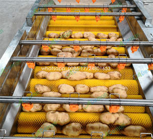 Cepillo tipo tomate Oliva lavadora limpiador <span class=keywords><strong>naranja</strong></span> limón cereza lavadora cítricos cepillo máquina de limpieza - Product Image 4