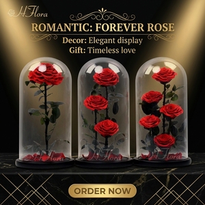 Regalo Romántico Personalizado para el Día de San Valentín y Graduación, Rosa Preservada Hecha a Mano en Cúpula de Cristal, Ramo de Flores Eternas de 3 Príncipes Grandes - Product Image 1