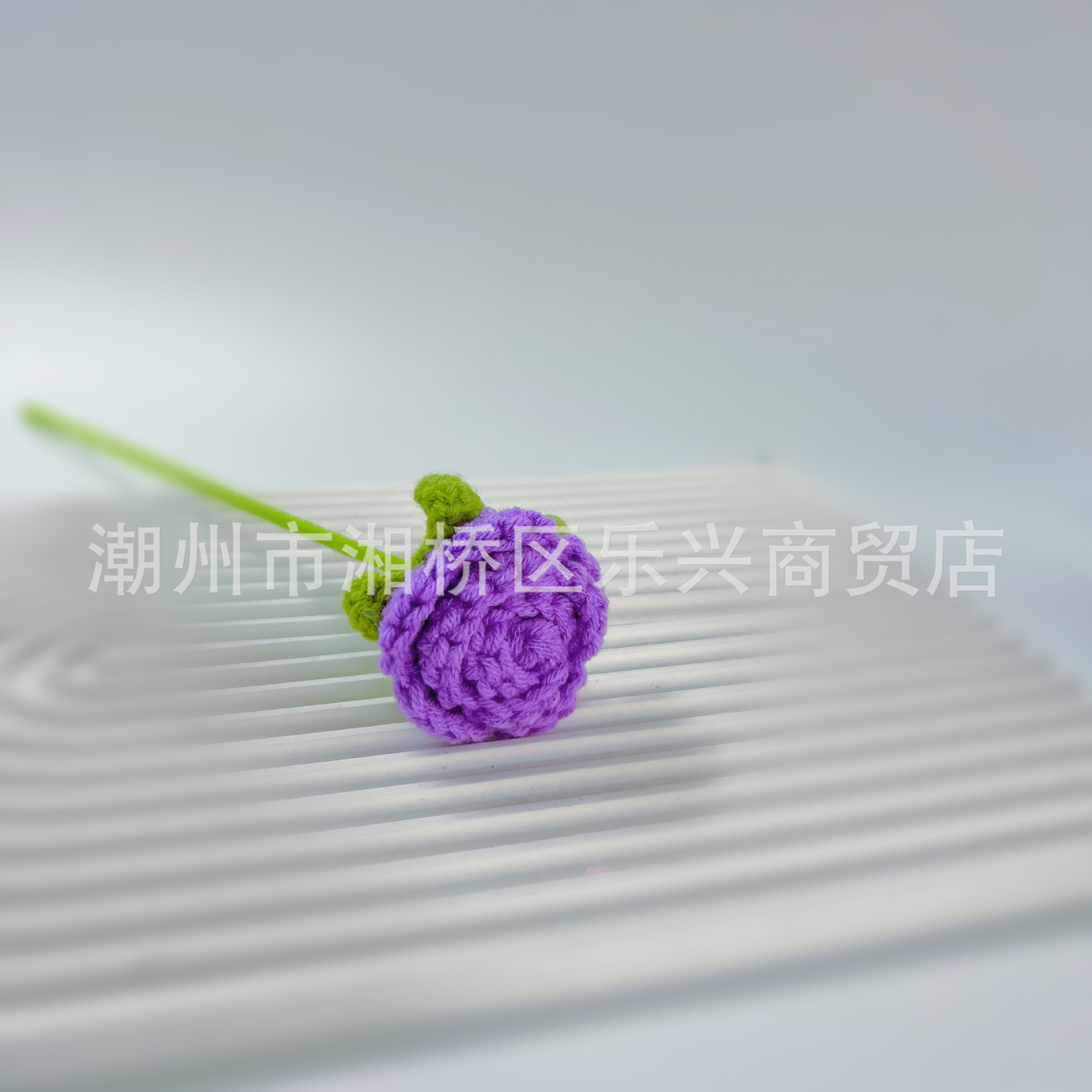 กุหลาบฟองสีม่วงเข้ม