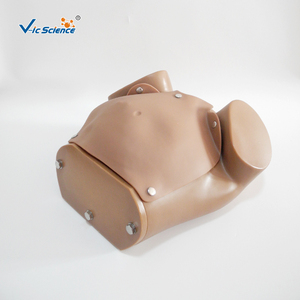 Manichino Avanzato per Addestramento alle Abilità di Parto, Modello per Simulazione di Parto Naturale di Donne in Gravidanza, in PVC, Marca VIC SCIENCE - Product Image 2
