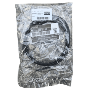 Cảm biến 1624980300 temp.1089057471 + dwa12/4 Atlas Copco Máy nén khí phụ tùng - Product Image 1