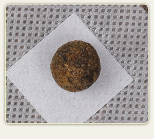 Parche Herbal Orgánico Adelgazante para el Vientre, Quema Grasa Rápido, Pérdida de Peso, Desintoxicación, Adhesivo para el Ombligo, Eliminación de Humedad y Materia Negativa del Cuerpo - Product Image 4