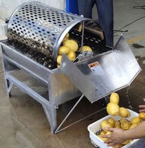 Machine à laver les légumes et les fruits, machine à laver les légumes à racines, machine à laver les pommes de terre - Product Image 6