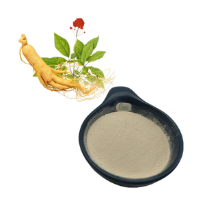 Extrait de Ginseng Américain de Haute Qualité, Ginsénosides Totaux 45%, Ingrédient de Complément Alimentaire à Prix Compétitif - Product Image 1