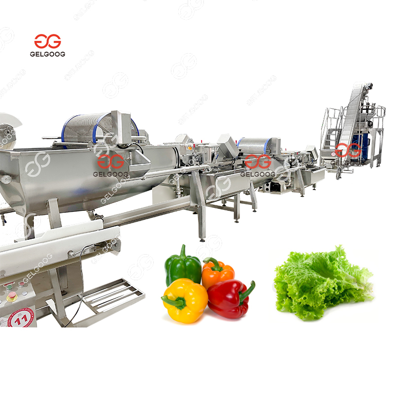 Fruits Washing and Freezer Machine Fruits