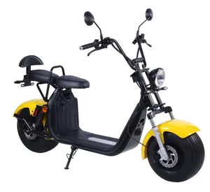 CHINA Cheap Citycoco Motocicleta Electrica Mudguard 2 Wheel Scooters 1500w Scooter Electrico Electric Motorcycles