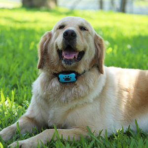 Collar para mascotas con batería, dispositivo antiladridos automático/fijo, collar electrónico de entrenamiento de choque para perros, collares sin ladridos para perros - Product Image 1