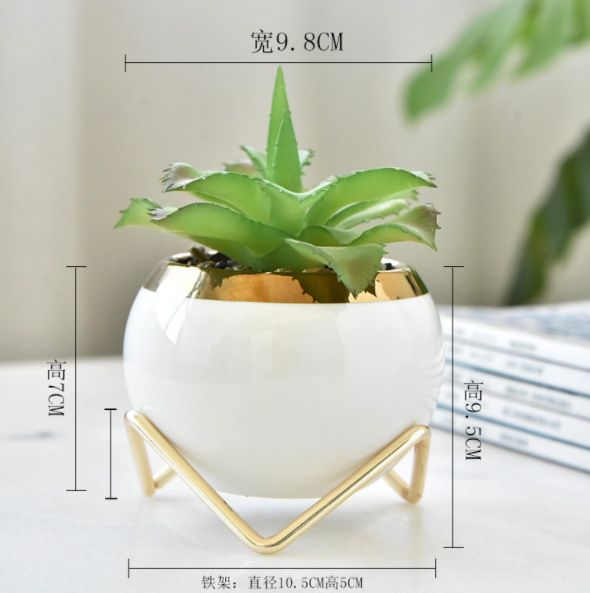 White Blue with metal frame