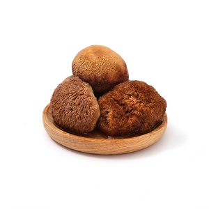 Vente en gros de champignons crinière de <span class=keywords><strong>lion</strong></span> séchés de culture professionnelle Champignons à tête de singe Autres champignons séchés de qualité supérieure - Product Image 3