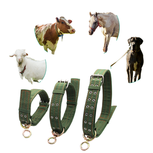 Collier de traction réglable en toile épaisse et nylon pour bétail, sangle de cou pour veau, pour <span class=keywords><strong>ferme</strong></span> <span class=keywords><strong>porcine</strong></span>, nouveau vert, garantie 3 mois - Product Image 1