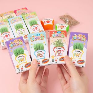 Mini Kit de Plantas en Maceta, Caja Sorpresa, Kit Educativo para Niños, Observación de Germinación de Semillas, Manualidades, Regalo para Tareas Escolares - Product Image 4