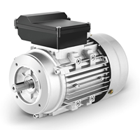 Moteur synchrone à condensateur monophasé à deux valeurs, série YL/ML, boîtier en aluminium YL6322 0,25 kw