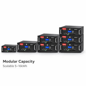 Módulo de Batería de Rack de 51.2V, 5kWh-16kWh, LiFePO4, para Almacenamiento de Energía Solar en el Hogar, OEM, ODM - Product Image 6