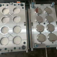 Máquina de Moldeo por Inyección CNC para Fabricación de Vaporizadores de Ducha Domésticos de ABS, PVC, PP y PC Pulidos SH-8, con Expulsor de Acero de Canal Frío