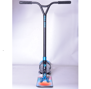 Ventes chaudes : Équipement <span class=keywords><strong>de</strong></span> ski <span class=keywords><strong>freestyle</strong></span>, scooter à <span class=keywords><strong>neige</strong></span> pour vélo <span class=keywords><strong>de</strong></span> ski - Product Image 5