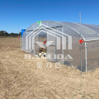 Betaalbare prijs Tuin Natuurlijk Gegalvaniseerd Staal Frame Tunnel Poly PE Folie Enkelspan Kas te Koop