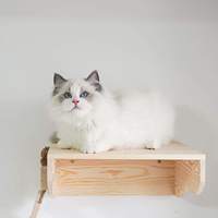 Pont mural interactif en bois pour chat, chemin flottant, fixation facile, construction durable pour chats actifs, exploration et sieste