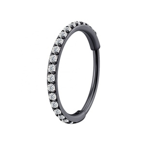Histoires de piercing ASTM F 136 Titanium Pave CZ Segment à charnière latérale Clicker Ring Piercing - Product Image 4