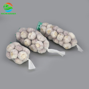 Ajo Blanco Puro 4.5cm-6.0cm 10kg Caja 2026 Ajo Fresco - Product Image 2