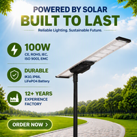 Lampe solaire LED 100W pour rue avec caméra CCTV, batterie LiFePO4 étanche, design breveté IK10, panneau solaire mono pour la sécurité extérieure