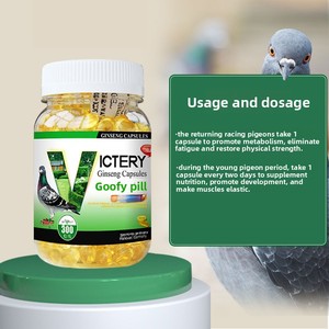 Píldoras Gaofei para <span class=keywords><strong>Palomas</strong></span> de Competición, Medicina Natural para el Cuidado de la Salud, Mejora la Velocidad de Competición y el Acondicionamiento Físico - Product Image 3