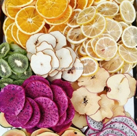 Professionele voedseldroger, fruitdroger, fruitdroogmachine met roestvrijstalen behuizing.