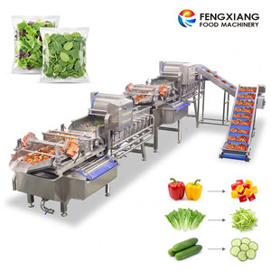 Ligne de traitement de légumes prêts à consommer personnalisée 1-3T/H, machine de découpe et de lavage à double vortex pour aliments prêts à cuire - Product Image 1