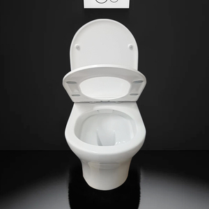 Trivello nascosto a parete <span class=keywords><strong>WC</strong></span> bagno senza montatura in ceramica Custom lavabo Retrete commerciale moderno pezzo unico scatola di cartone - Product Image 5